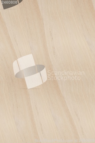 Image of Texture of wood