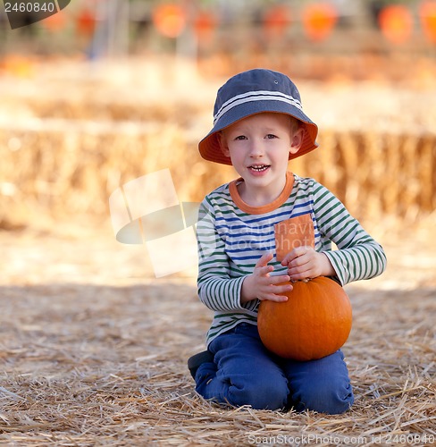 Image of kid at pumpkin patch