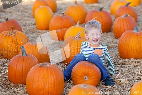 Image of kid at pumpkin patch