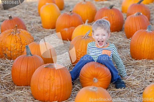 Image of kid at pumpkin patch