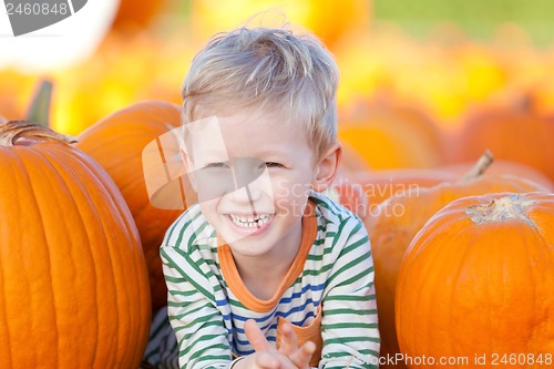 Image of kid at pumpkin patch