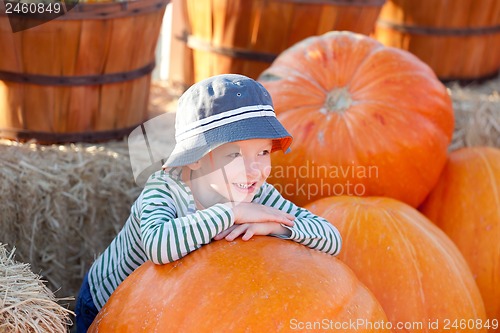 Image of kid at pumpkin patch