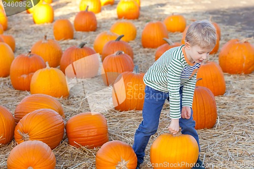 Image of kid at pumpkin patch