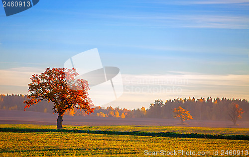 Image of beautiful autumn landscape