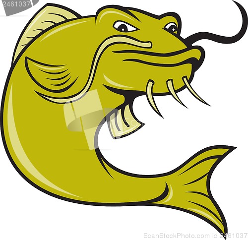 Image of Angry Cartoon Catfish Fish