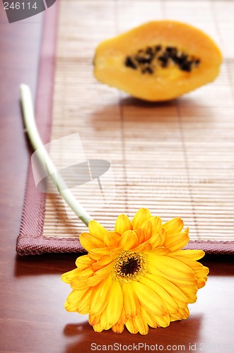 Image of Flower and Fruit