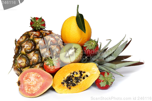 Image of Tropical Fruit