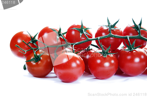 Image of Vine Tomatoes