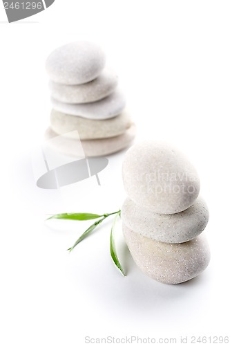 Image of stones and green leaves 