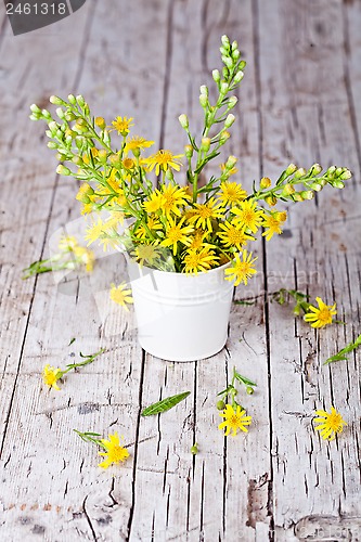 Image of wild yellow flowers in bucket 