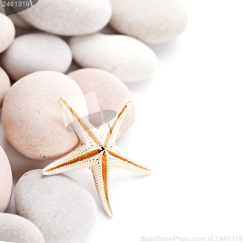 Image of pile of stones and sea star