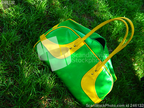 Image of green summer bag on grass