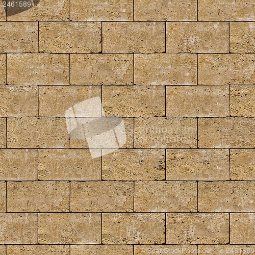 Image of Seamless Tileable Texture of Coquina Wall.