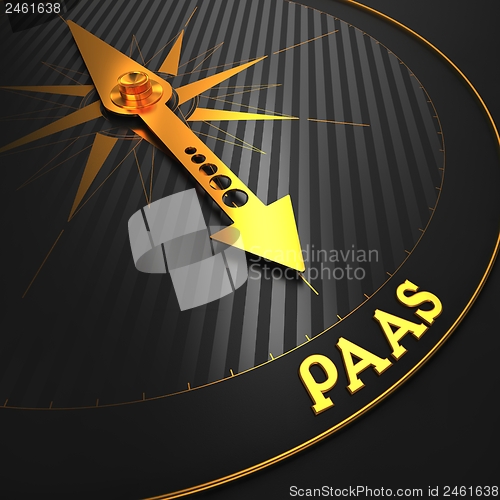 Image of PAAS. Information Technology Concept.