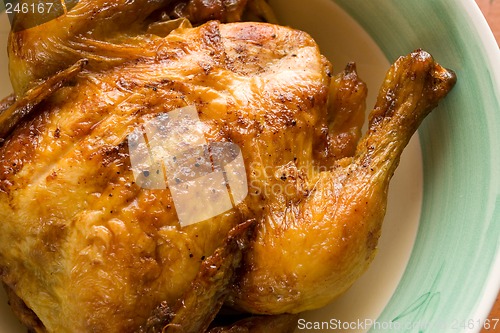 Image of Chicken #3