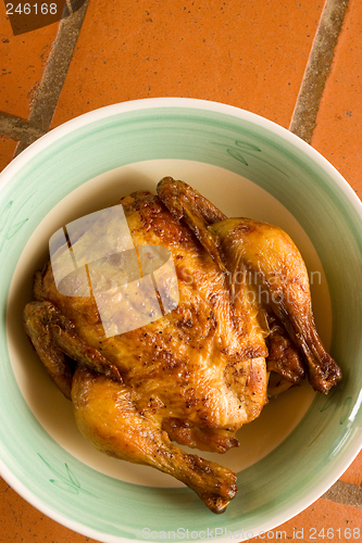 Image of Chicken #4