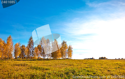 Image of Autumn landscape