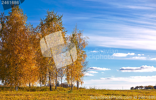 Image of Autumn landscape