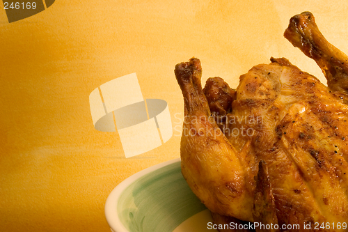 Image of Chicken #7