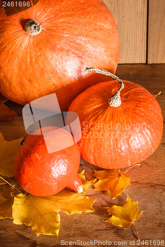 Image of Pumpkins on grunge wooden backdrop background