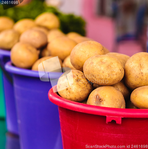 Image of Potatoes at local market