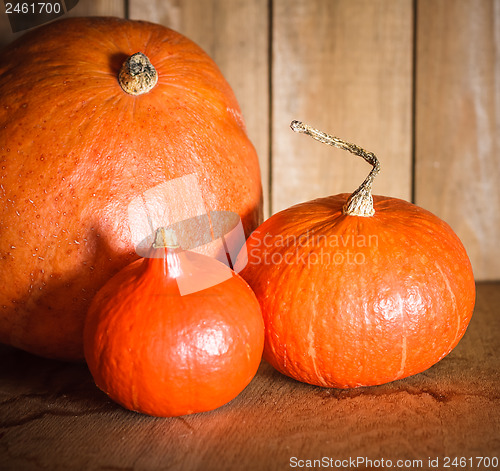 Image of Pumpkins on grunge wooden backdrop background