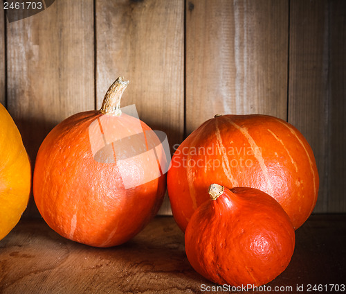 Image of Pumpkins on grunge wooden backdrop background