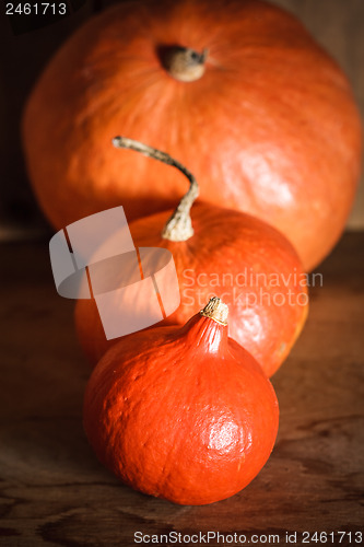 Image of Pumpkins on grunge wooden backdrop background