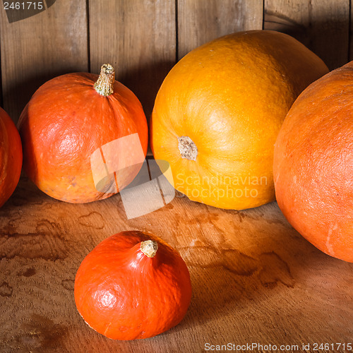 Image of Pumpkins on grunge wooden backdrop background