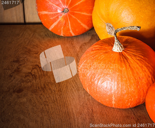 Image of Pumpkins on grunge wooden backdrop background