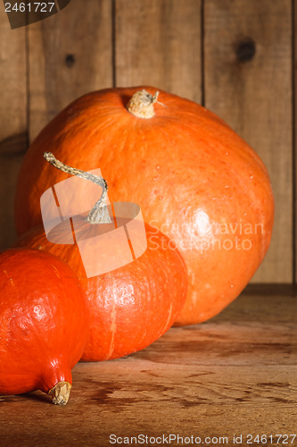 Image of Pumpkins on grunge wooden backdrop background