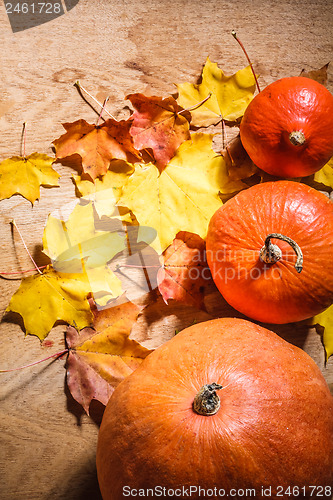 Image of Pumpkins on grunge wooden backdrop background