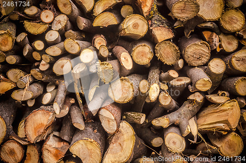 Image of Pile Of Wood Logs