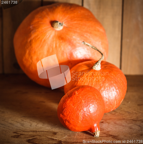 Image of Pumpkins on grunge wooden backdrop background