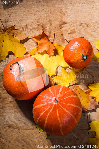 Image of Pumpkins on grunge wooden backdrop background