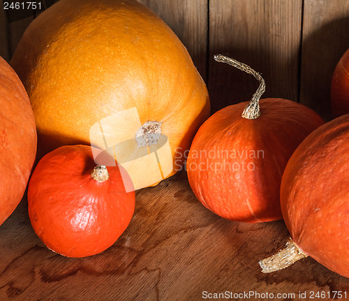 Image of Pumpkins on grunge wooden backdrop background