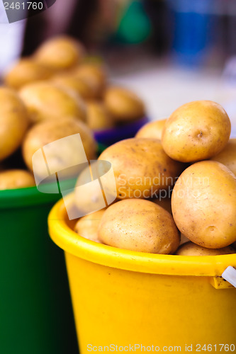 Image of Potatoes at local market