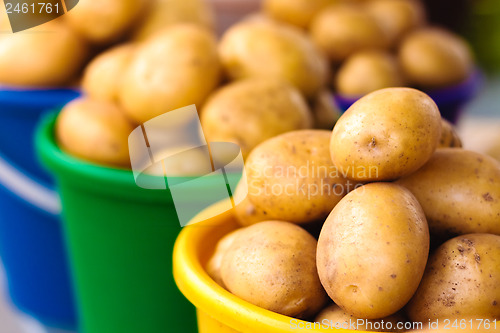 Image of Potatoes at local market