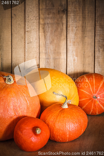 Image of Pumpkins on grunge wooden backdrop background