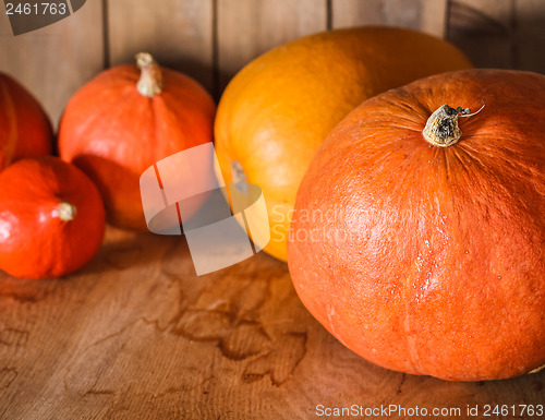 Image of Pumpkins on grunge wooden backdrop background