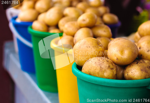 Image of Potatoes at local market