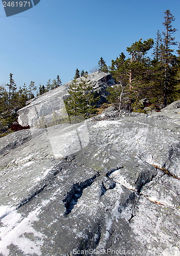 Image of Koli Finland