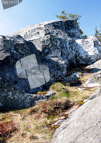 Image of Koli Finland