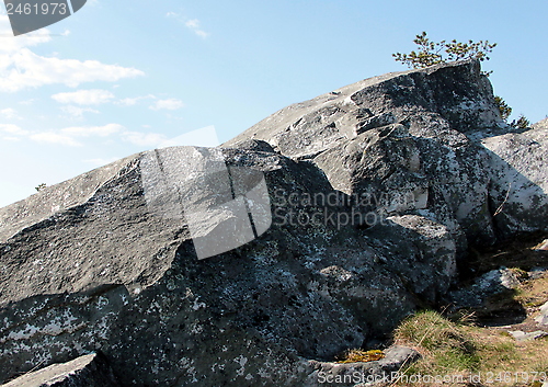 Image of Koli Finland