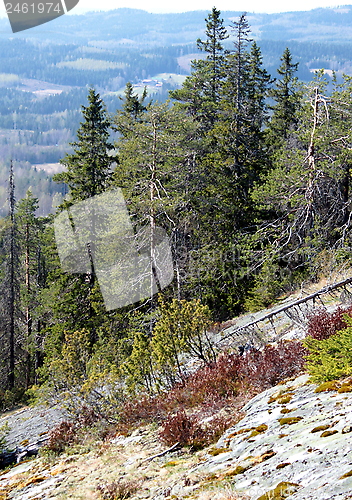 Image of Koli Finland