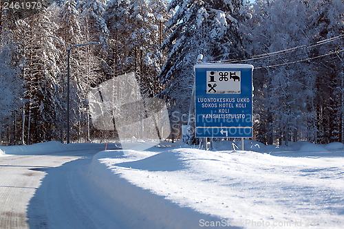 Image of Koli Finland