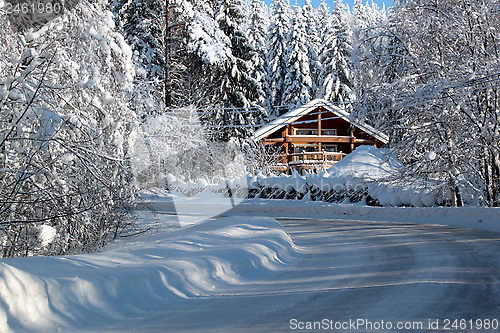 Image of Koli Finland