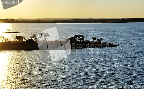 Image of Trees in island of Alqueva lake