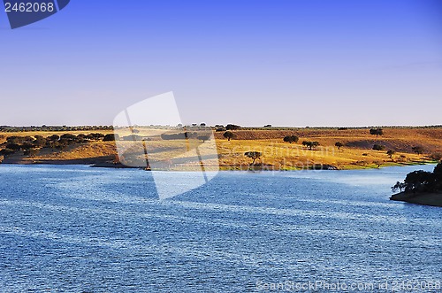 Image of Alqueva lake and oak trees