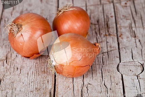 Image of three fresh onions